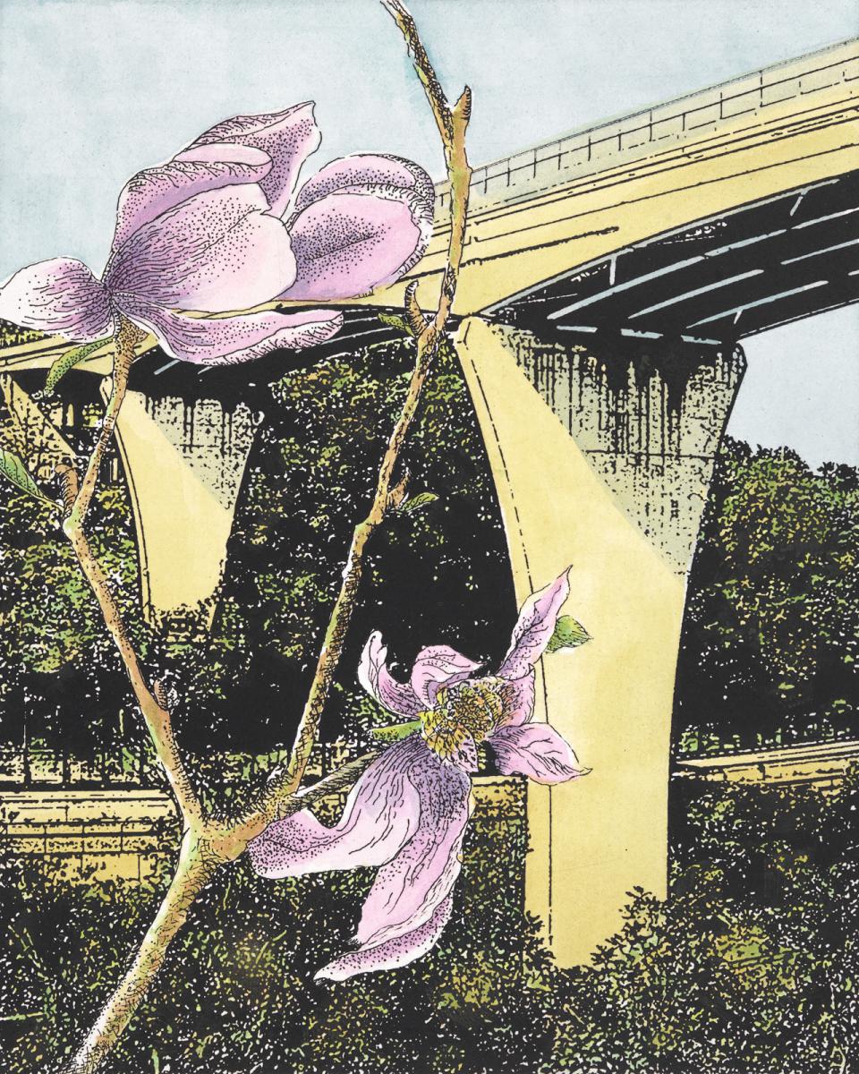 Biophilia: From the Studio to the Community
